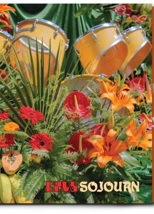 the album cover for Cavs - Sojourn [Orange]