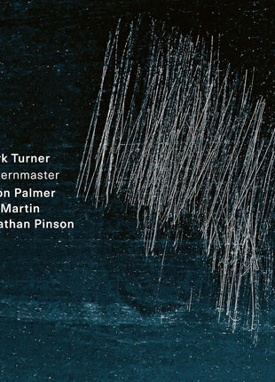 the album cover for Mark Turner  / Palmer,Jason / Martin,Joe - Patternmaster