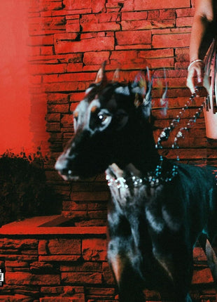 the album cover for Leon Thomas - Mutt