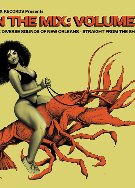 the album cover for In The Mix: Volume 1 / Various - In The Mix: Volume 1 / Various