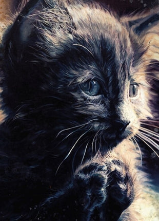 the album cover for Perzeptiver Dampfkessel Qualmt Besinnlich - Pussy Disco
