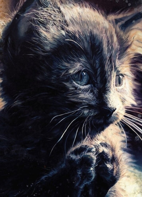 the album cover for Perzeptiver Dampfkessel Qualmt Besinnlich - Pussy Disco