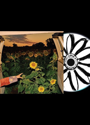 the album cover for Kevin Morby - Little Wide Open
