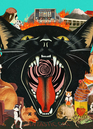 the album cover for Fantastic Cat - Cat Out Of Hell