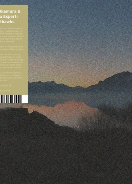 the album cover for Azumi Okaruma  / Esperti,Andrea - Nighthawks