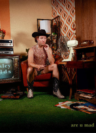 the album cover for Paisley Fields - Are U Mad At Me - Emerald [Colored Vinyl]