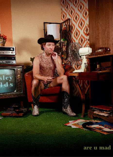 the album cover for Paisley Fields - Are U Mad At Me - Emerald [Colored Vinyl]