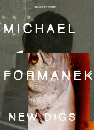 the album cover for Michael Formanek - New Digs