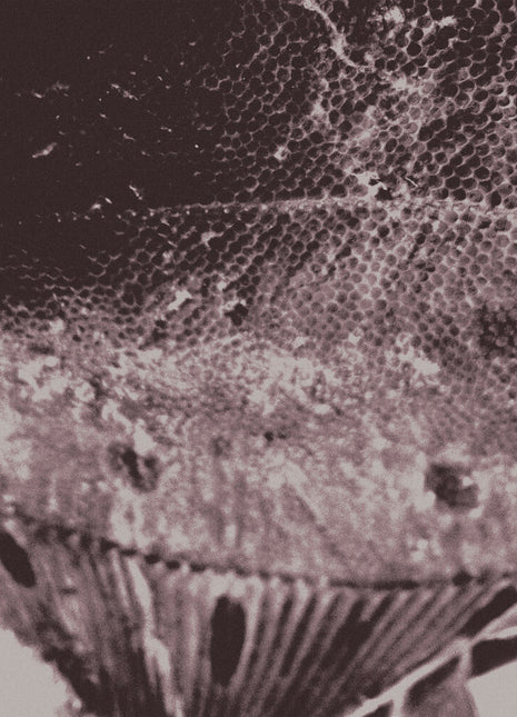 the album cover for Mark Ijzerman - Flounder Maps