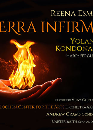the album cover for Yolanda Kondonassis - Terra Infirma