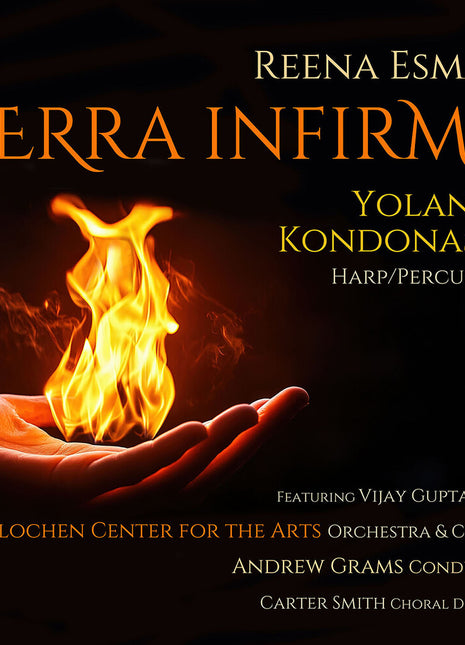 the album cover for Yolanda Kondonassis - Terra Infirma