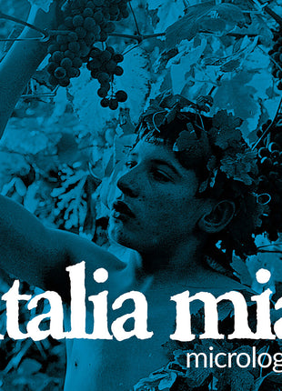 the album cover for Micrologus - Italia Mia