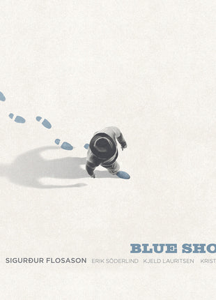 the album cover for Sigurdur Flosason - Blue Shoes