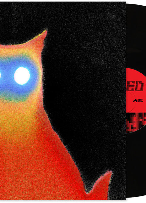 the album cover for Basement - Wired