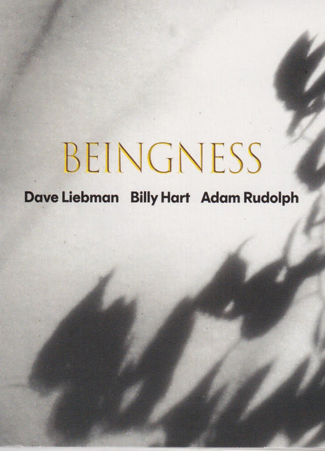 the album cover for Dave Leibman  / Hart,Billy / Rudolph,Adam - Beingness [Colored Vinyl] [Limited Edition] [180 Gram]