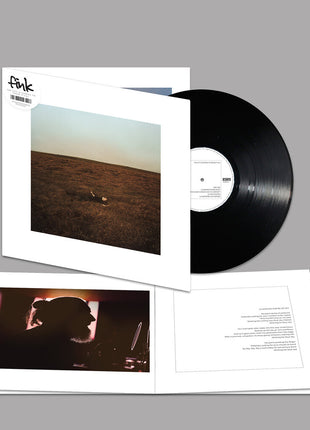 the album cover for Fink - City Is Coming To Erase It All (Gate) [With Booklet]
