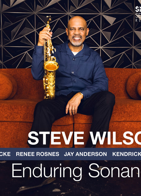 the album cover for Steve Wilson - Enduring Sonance