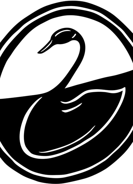 the album cover for Black Swan Network - Early Music 1