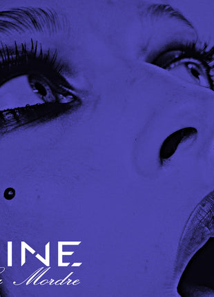 the album cover for SINE - La Mordre