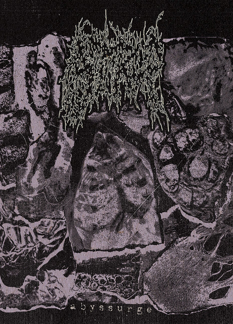 the album cover for Strup - Abyssurge