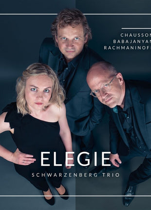 the album cover for Schwarzenberg - Elegie: Chausson Babajanyan Rachmaninoff