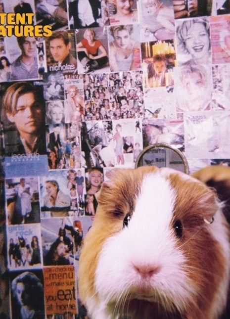 the album cover for Helmut - Content Creatures