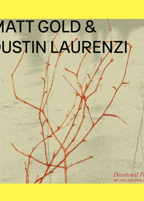 the album cover for Matt Gold  / Laurenzi,Dustin - Devotional Fade