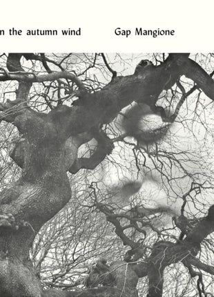 the album cover for Gap Mangione - Diana In The Autumn Wind
