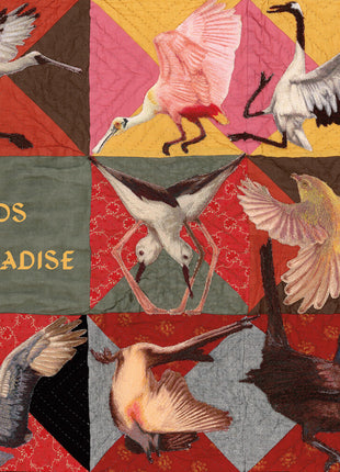 the album cover for Thomas Dollbaum - Birds Of Paradise - Pink [Colored Vinyl] (Pnk)