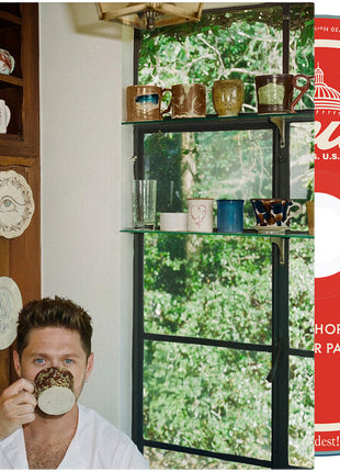 the album cover for Niall Horan - Dinner Party