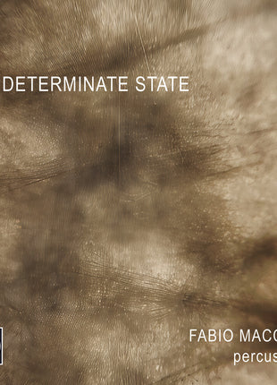 the album cover for Fabio Macchia - Indeterminate State - Fabio Macchia