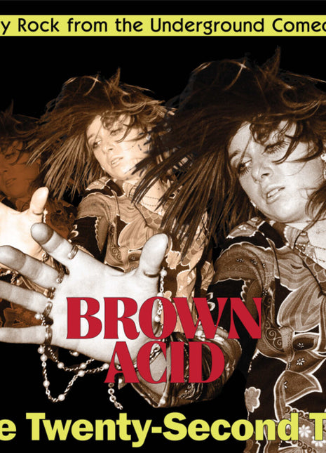 the album cover for Brown Acid - Twenty-Second Trip / Various - Brown Acid - The Twenty-Second Trip (Various Artists)