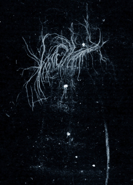 the album cover for My Heart, An Inverted Flame - My Death Is More Beautiful Than Your Life