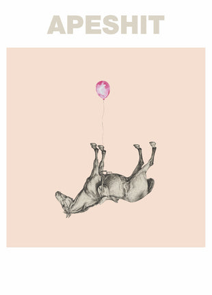 the album cover for Sound Of Animals Fighting - Apeshit