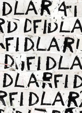 the album cover for FIDLAR - Fidlar [Indie Exclusive] Frosted Silver Vinyl [Colored Vinyl] (Slv)