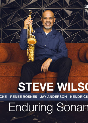 the album cover for Steve Wilson - Enduring Sonance