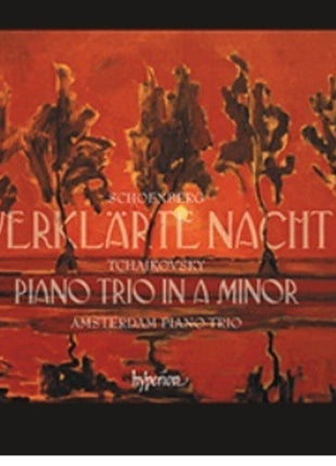 the album cover for Tchaikovsky / Schoenberg / Amsterdam Piano Trio - Tchaikovsky: Piano Trio / Schoenberg: Verklarte