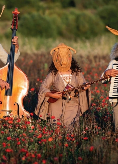 the album cover for Qanat - Aigua Ballant