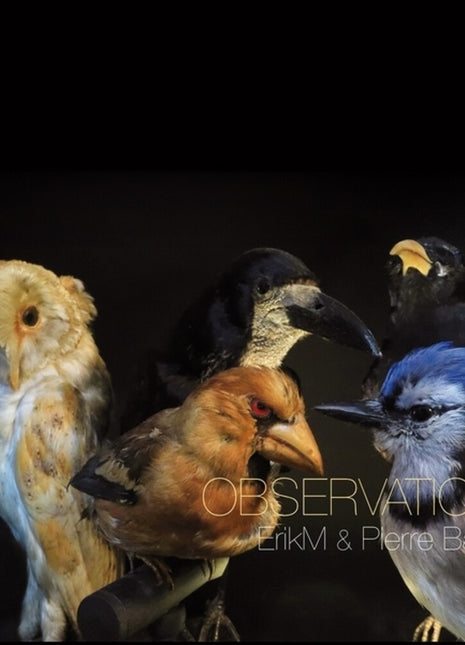 the album cover for Erikm / Pierre Bastien - Observations