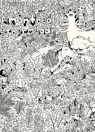 the album cover for Of Montreal - Aethermead [Clear Vinyl] (Gate) [Download Included]
