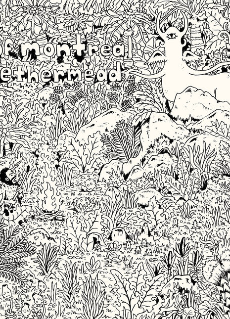 the album cover for Of Montreal - Aethermead