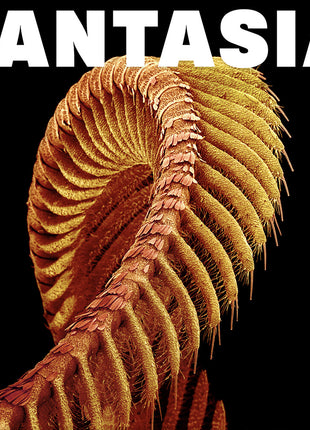 the album cover for SLIFT - Fantasia