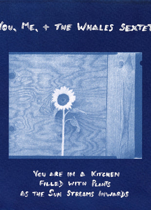 the album cover for You, Me, + The Whales Sextet - You Are In A Kitchen Filled With Plants As The Sun
