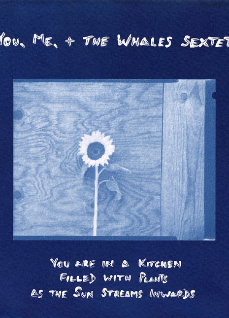 the album cover for You, Me, + The Whales Sextet - You Are In A Kitchen Filled With Plants As The Sun