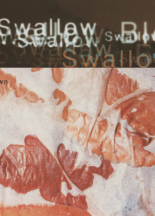 the album cover for Swallow - Blown