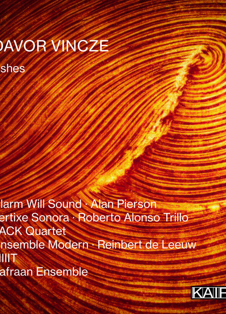 the album cover for Vincze, Davor - Ashes