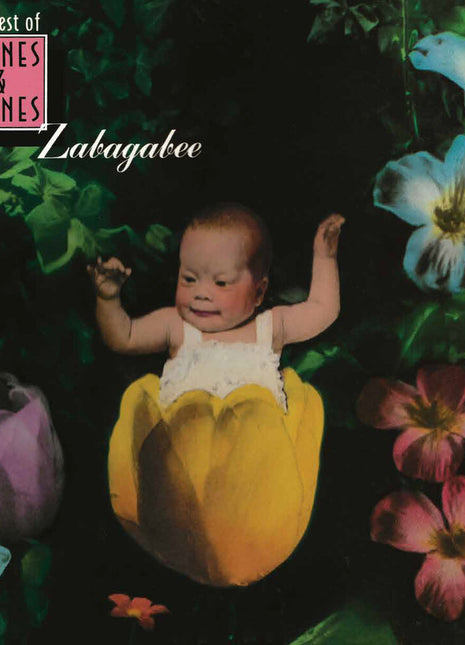 the album cover for Barnes & Barnes - Zabagabee: The Best Of Barnes & Barnes