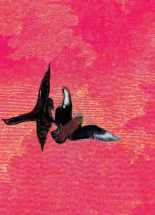 the album cover for Sebastian Rojas - En La Orilla