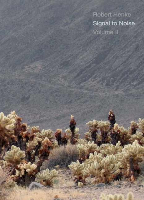 the album cover for Robert Henke - Signal To Noise - Volume Ii