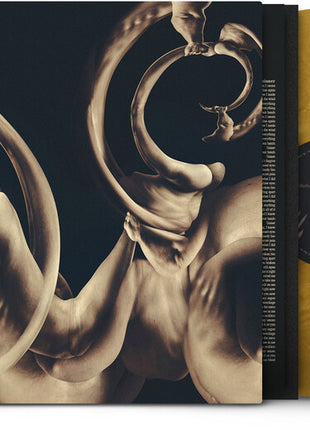 the album cover for Siamese - Dissolution - Gold [Colored Vinyl] (Gol)